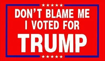 Don't Blame Me I Voted For Trump 3'x5' Flag