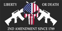 Punisher Liberty Or Death 2nd Amendment